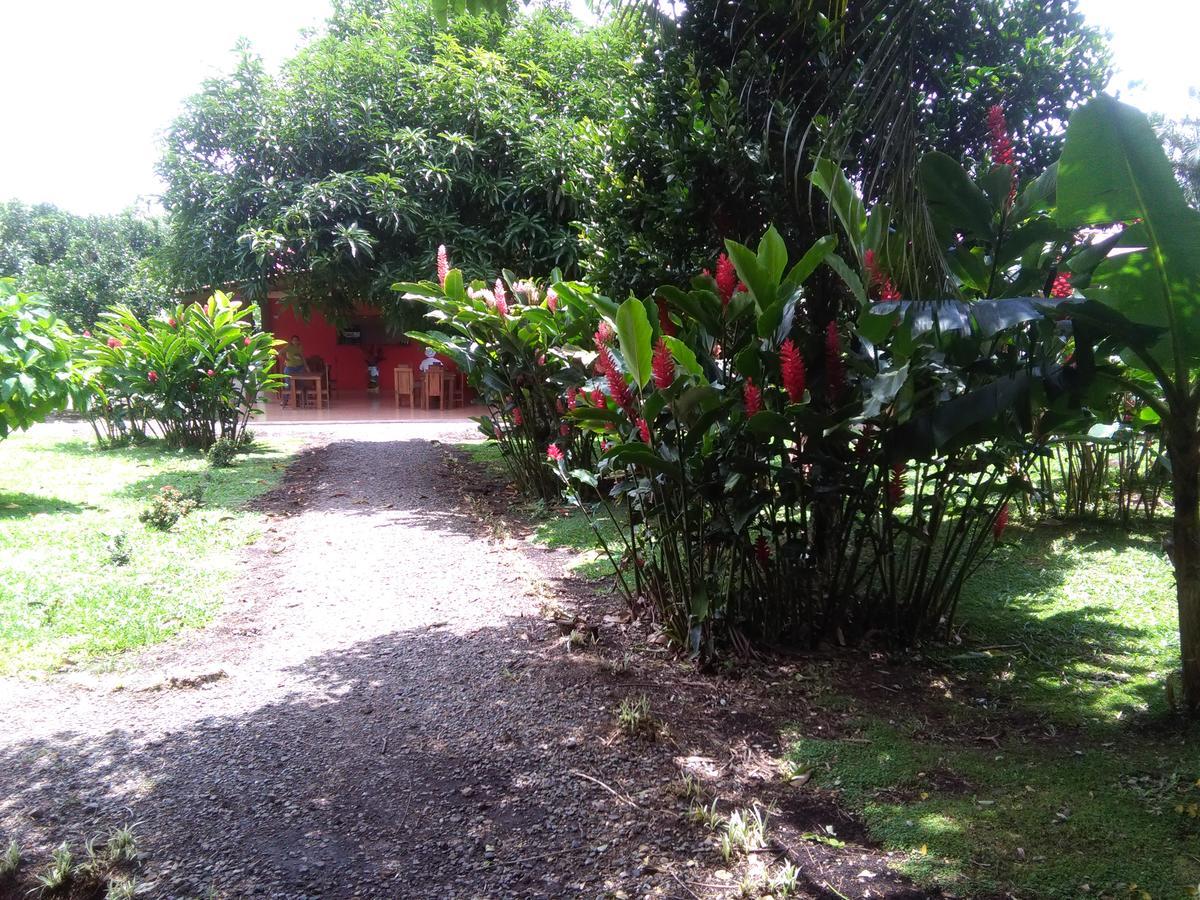 Paraiso Volcano Lodge Guayabo  Εξωτερικό φωτογραφία