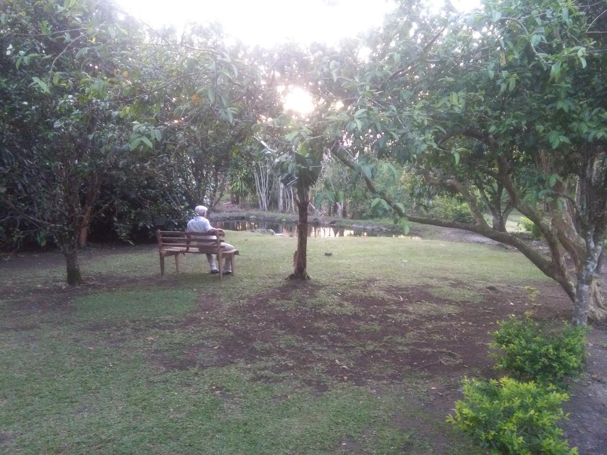 Paraiso Volcano Lodge Guayabo  Εξωτερικό φωτογραφία