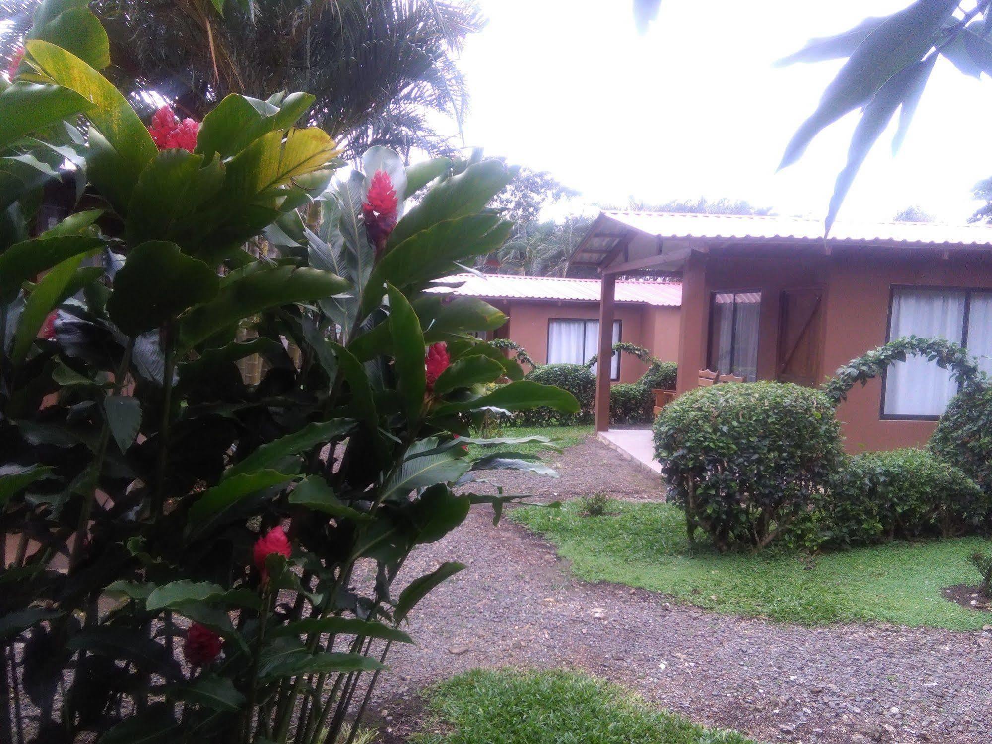 Paraiso Volcano Lodge Guayabo  Εξωτερικό φωτογραφία
