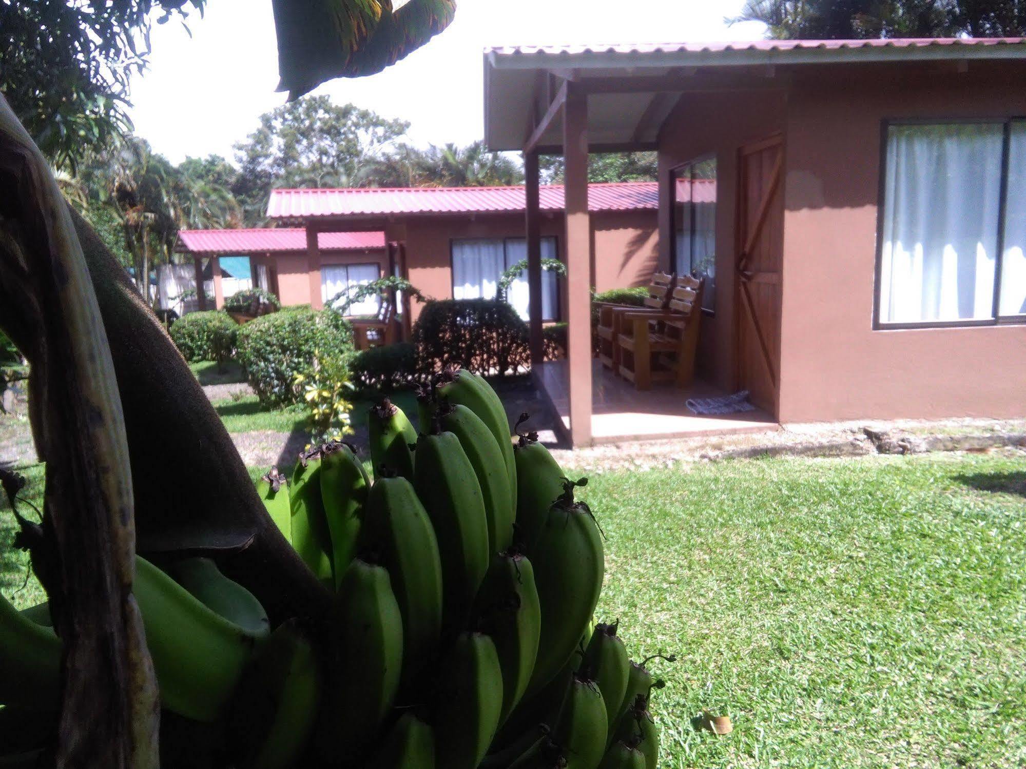Paraiso Volcano Lodge Guayabo  Εξωτερικό φωτογραφία